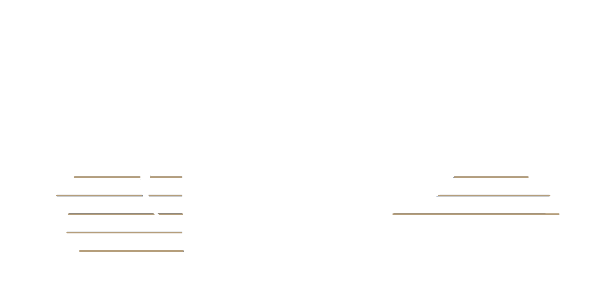 logo weiss